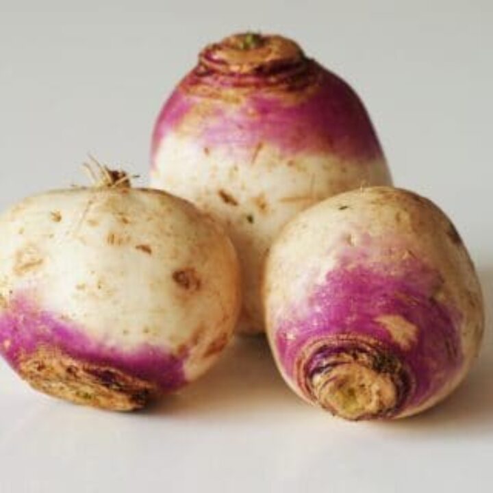 Turnip